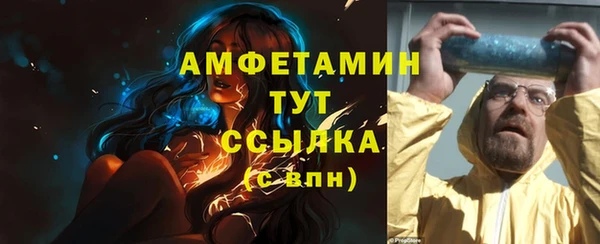 сатива Покачи