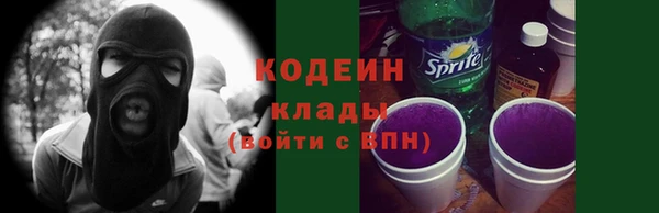 сатива Покачи