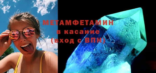сатива Покачи