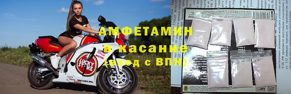 гашик Зуевка